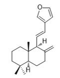 狗牙花碱E标准品