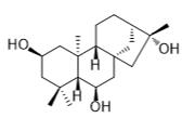 2,6,16-贝壳杉烯三醇标准品