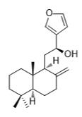 15,16-环氧-12R-羟基赖百当-8(17),13(16),14-三烯标准品