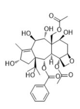 13-O-脱乙酰基紫杉醇Z标准品