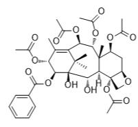 14β-苯甲酰氧基-2-脱乙酰浆果赤霉素VI标准品