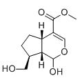 7-Deoxy-10-hydroxyloganetin标准品