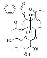 6-O-苯甲酰环烯醚萜B标准品