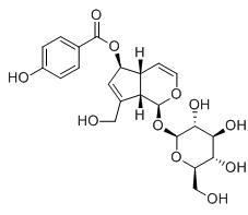 6-O-对羟基苯甲酰桃叶珊瑚苷标准品