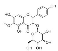 6-甲氧基紫云英苷标准品