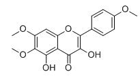 薇甘菊黄素标准品