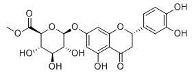 圣草酚-7-O-β-D-葡萄糖醛酸甲酯标准品