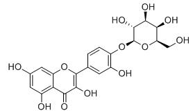 槲皮素-4'-O-半乳糖苷标准品