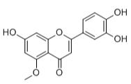 木犀草素-5-甲醚标准品