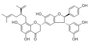 槐属二氢黄酮I标准品