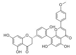 2,3-二氢罗汉松双黄酮A标准品