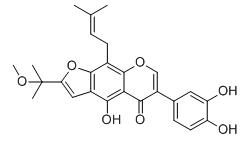 异黄酮H标准品