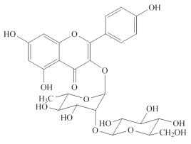 山柰酚-3-O-β-D-葡萄糖基（1-2）-α-L-鼠李糖苷对照品