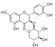 紫杉叶素3-O-BETA-D-吡喃木糖苷标准品