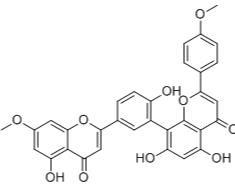 罗汉松双黄酮B标准品