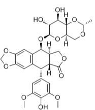 依托泊苷标准品