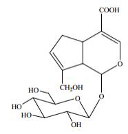 京尼平苷酸标准品