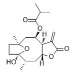 圆叶肿柄菊素D 标准品