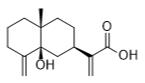 5β-羟基木香酸标准品