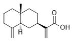 β-Costic acid标准品