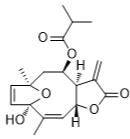 肿柄菊内酯F标准品