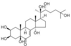 水龙骨甾酮B标准品