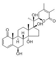 睡茄灯笼草素C标准品