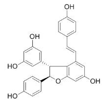 ε-葡萄素对照品