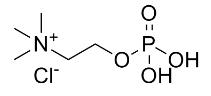 磷酸胆碱标准品