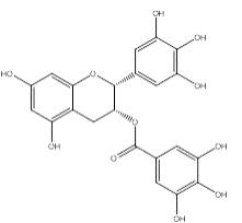 表没食子儿茶素没食子酸酯对照品